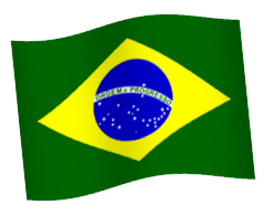 brazil-flag-large.gif